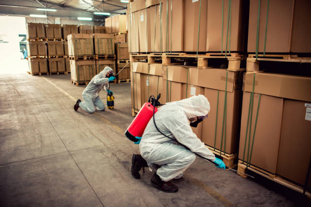 Best Wasp Removal Services  in Raintree Plantation, MO