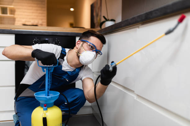 Best Pest Control for Businesses  in Raintree Plantation, MO
