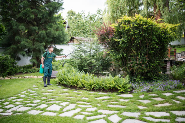 Best Pest Removal Services  in Raintree Plantation, MO