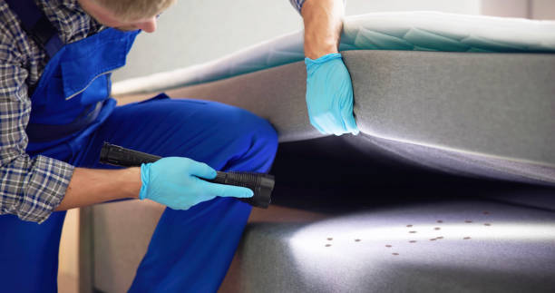 Best Exterminator Services  in Raintree Plantation, MO