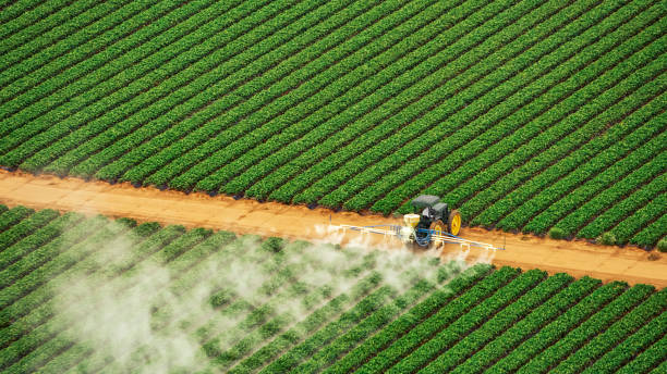 Best Mosquito Control Services  in Raintree Plantation, MO