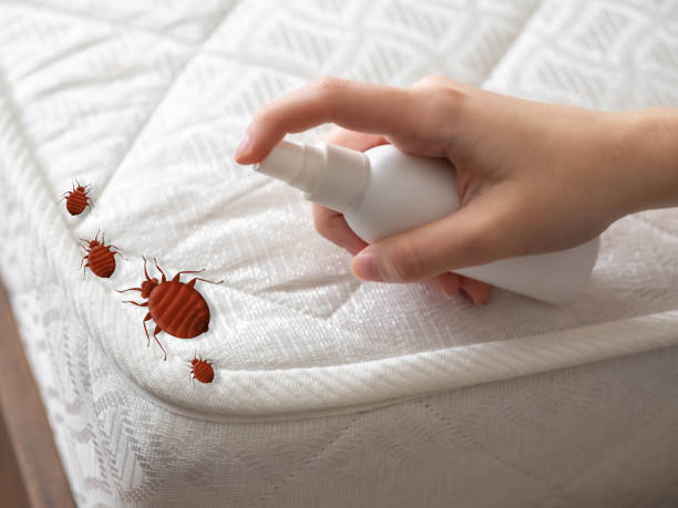 Best Pest Inspection Near Me  in Raintree Plantation, MO